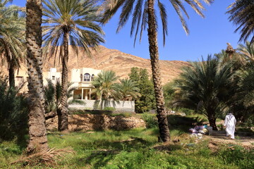 Fototapeta na wymiar Abandoned Village Birkat-Al-Mouz - Oman. Birkat-Al-Mouz is a deserted old town that has been left to crumble