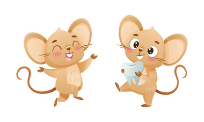 Little Mouse Character with Long Tail and Big Ears Carrying Tooth and Jumping with Joy Vector Set