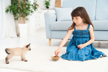 A cute little girl sits in a room on a carpet and feeds a little kitten. Children and animals, pet care concept