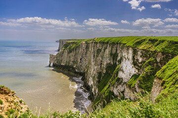The chalk cliffs near Bempton on the East Yorkshire Coastline. These cliffs are home to thousands...