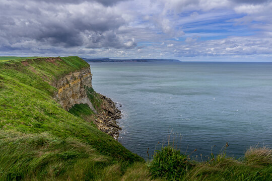 View from the clifftops near Filey Brigg looking north towards Scarborough