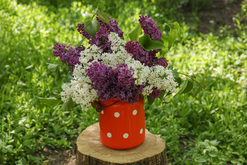 Bouquet of beautiful lilac flowers in milk can outdoors