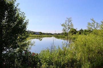 A quiet lake in the countryside on a sunny day.