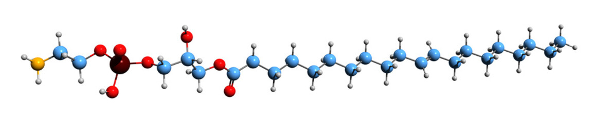  3D image of Lysophosphatidylethanolamine skeletal formula - molecular chemical structure of metabolite isolated on white background
Lysophosphatidylethanolamine, LPE, phosphatidylethanolamine, cell m