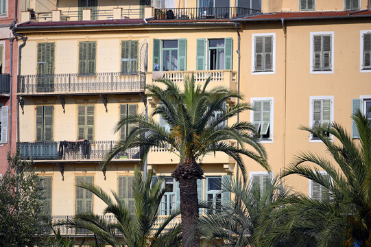 Palm trees and old building in Nice France