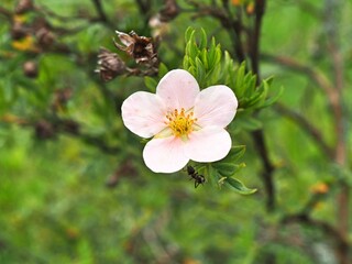 Obraz premium OLYMPUS DIGITAL CAMERA