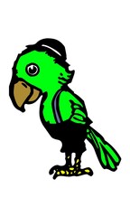 parrot