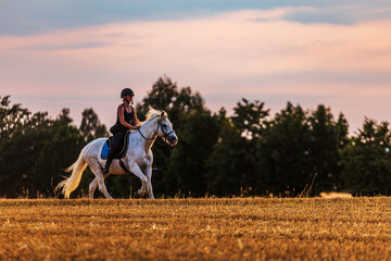 the young rider leads the white horse through the field