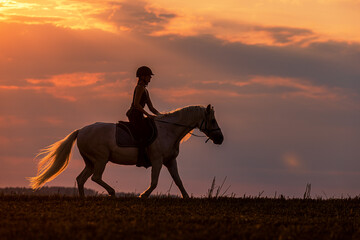a young woman rides a white horse at sunset