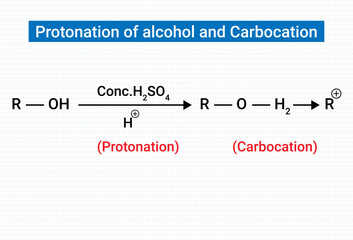 Chemical Structure of Protonation of alcohol and Carbocation