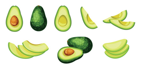 Set of fresh green avocado in cartoon style. Vector illustration of vegetables whole and cut into slices and halves on white background.