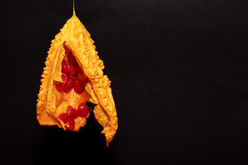 Momordica charantia with a black background. - Bitter Melon- balsam pear. Karela. Kudret Nari -...