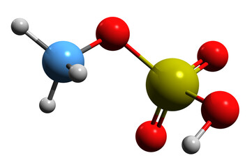 Obraz premium 3D image of Methyl bisulfate skeletal formula - molecular chemical structure of Monomethyl sulfate isolated on white background 