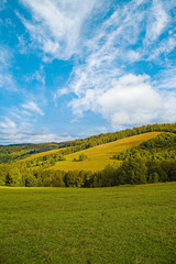 glade on the background of hills covered with trees, blue sky with clouds on a summer day, vertical photo