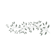 leaves frame, graphic design element
