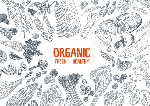 Healthy eating. Organic food illustration. Healthy food frame vector illustration. Vegetables, fruits and meat. Hand drawn sketch.