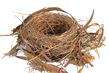 Vogelnest vor weißem Hintergrund in einer Nahaufnahme