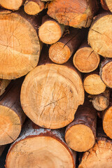 Dry chopped firewood logs. Wooden pile texture. Log background.