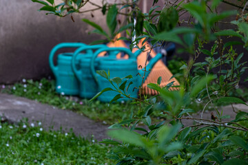 Close-up of plastic watering cans and leaf rakes at concrete wall with blurred blooming white flowers in the foreground.