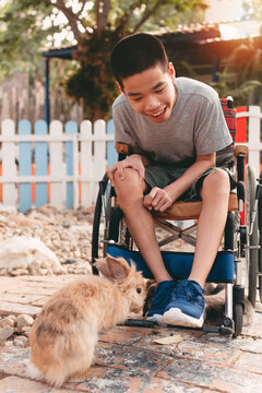 Teenager boy with a disability feeding pets with smile and happy face, Training of muscles through picking, Animals therapy for child with special needs. Rehabilitation and Health Day concept.