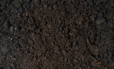 Soil background top view, Soil texture 