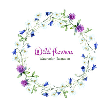 Watercolor flowers frame of Chamomile, Bluebell Flower, Red Clover isolated on a white background.