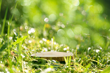 Round cut of a tree, a pedestal for an object, a podium for cosmetics. Summer sunshine, against the background of lush green grass.