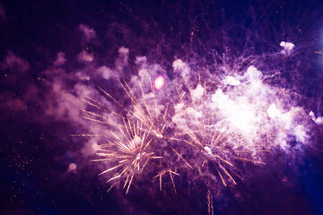 Fototapeta premium Bright, beautiful purple fireworks in the night sky.
