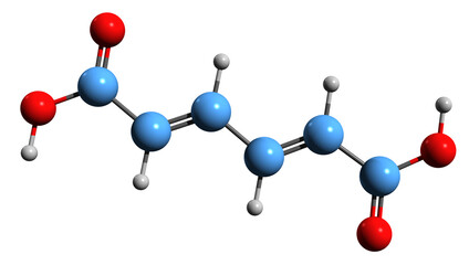 Obraz premium 3D image of Muconic acid skeletal formula - molecular chemical structure of isolated on white background 