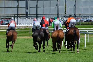 Racehorse race at the racetrack.