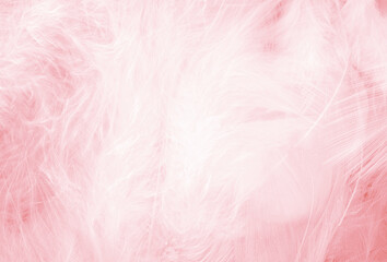 Fototapeta na wymiar Coral pink vintage, feather pattern texture