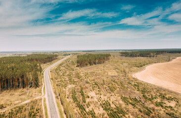 Aerial view of highway road through deforestation area landscape. Green pine forest in deforestation zone. Top view of field and forest landscape in sunny spring day. Drone view. Bird's eye view.