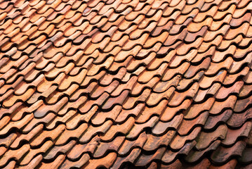 Enkhuizen, Netherlands. June 2022. Canvas of roof tiles.