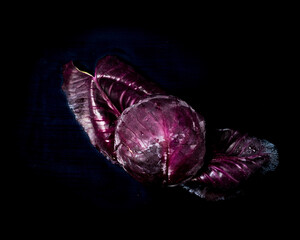 Purple cabbage on a black background