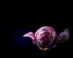 Purple cabbage on a black background