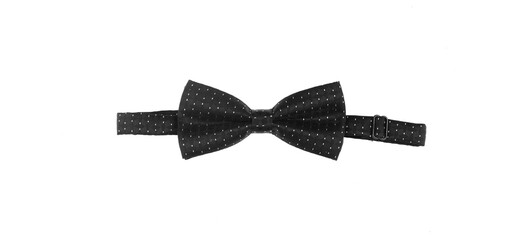black speckled bow tie isolated on white background