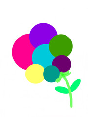 Rainbow raspberry 