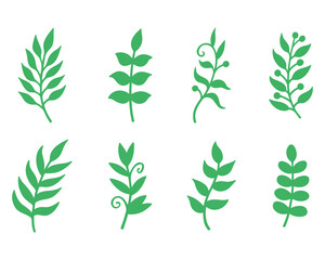 Green solid field leaves. Botanical elements. Nature vector illustration.