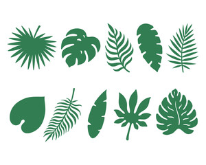Fototapeta na wymiar Set of tropical leaves. Green monstera leaf. Hawaiian flora. Vector objects isolated on white background.