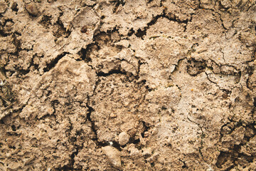 Dried desert land. Cracks in the ground. Dehydrated soil.