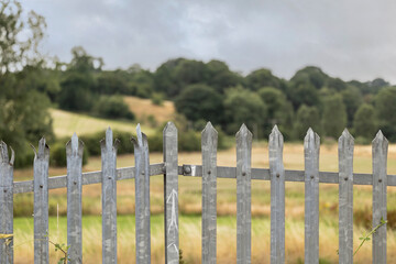 Palisade security Fencing isolated from background