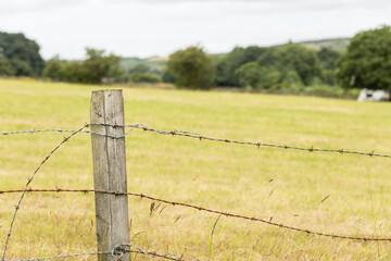 selective focus wooden fence post and rusty barbed wire fencing english countryside - Powered by Adobe