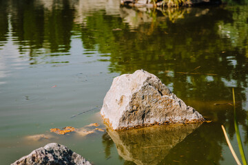 A beautiful large uneven stone stands outside on a lake, river. Wildlife photography.