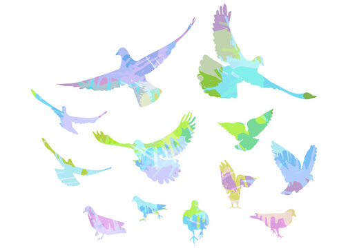 Colorful flying birds. Vector illustration