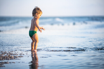 Kid collects shells and pebbles in the sea on a sandy bottom under the summer sun on a vacation