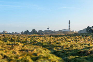 Fototapeta na wymiar Ushant lighthouse seen across a field and bogs in the early morning