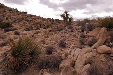 Rock complexes in southeastern California. 	Riverside County and San Bernardino County, California, USA. 