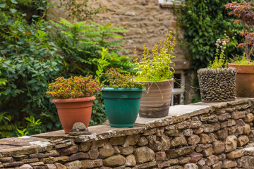 Pots with plants on the wall, Dent, England, UK.