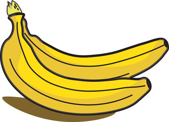 yellow banana fruit vector illustration