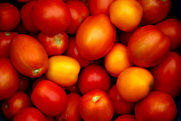 Fresh organic red tomatoes. Eco friendly non-gmo red tomatoes on the table. The concept of health, non-gmo products, clean ecological food.
